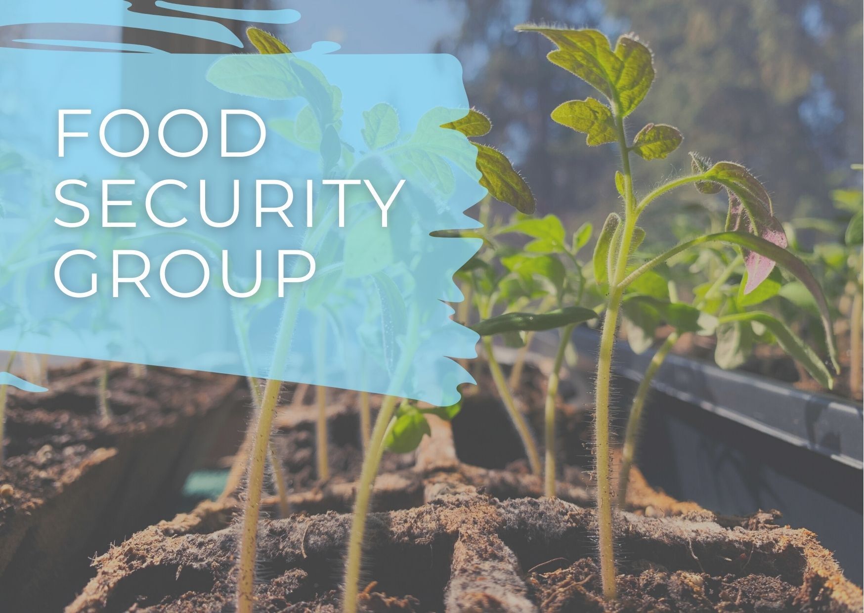 Food Security Group
